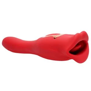 VIBRADOR COM BOCA 2 EM 1